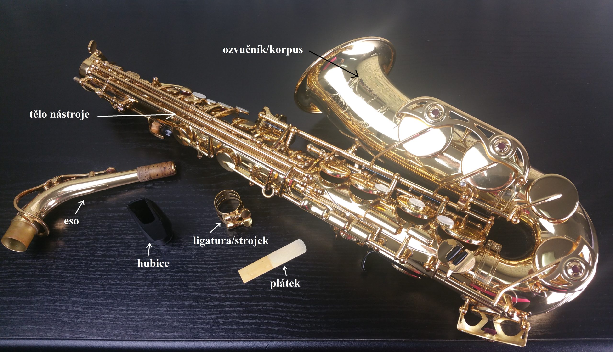 saxofon (1)